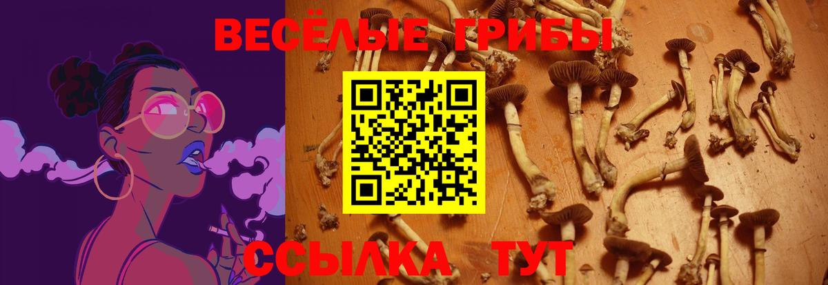 Псилоцибиновые грибы мухоморы Чебаркуль