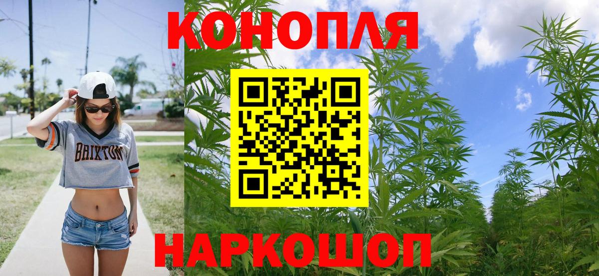 Каннабис план Чебаркуль
